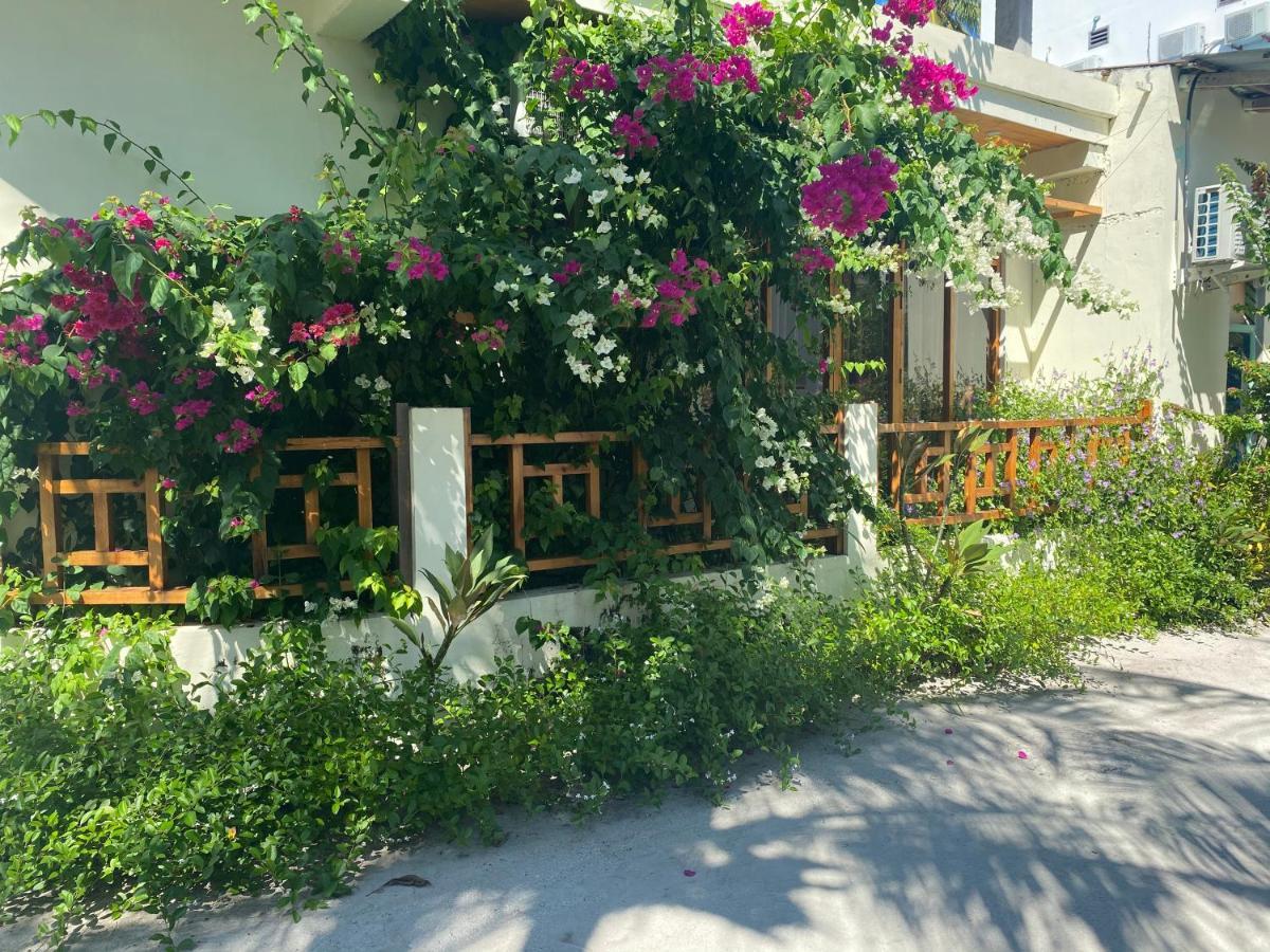 Bougainvillea Inn - Maldives 풀리두 외부 사진