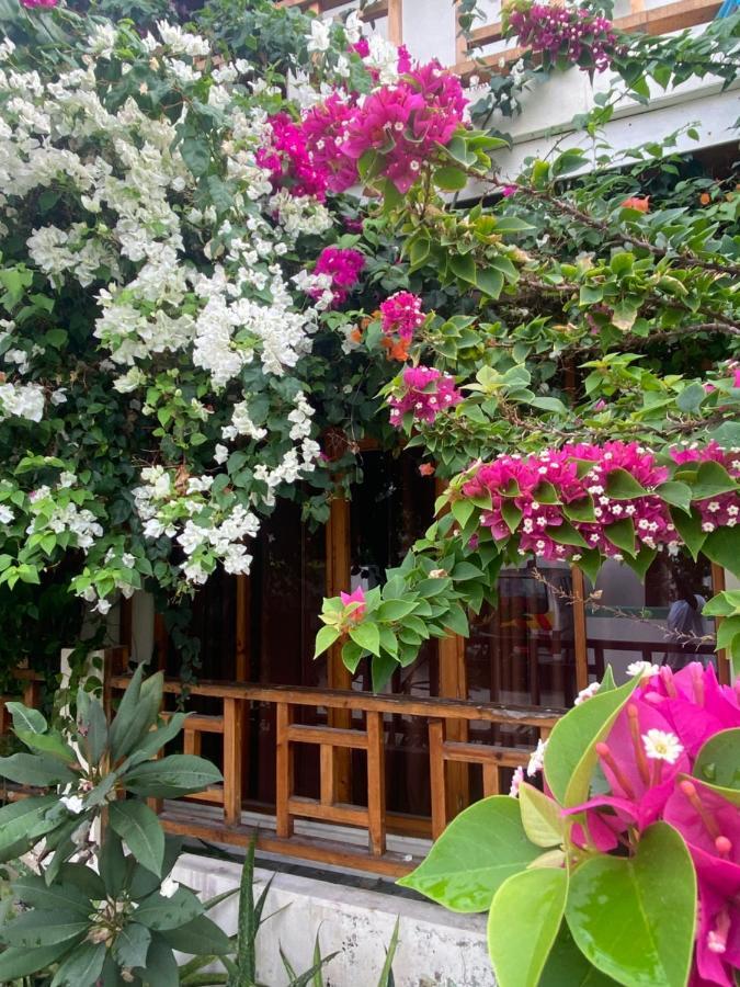 Bougainvillea Inn - Maldives 풀리두 외부 사진